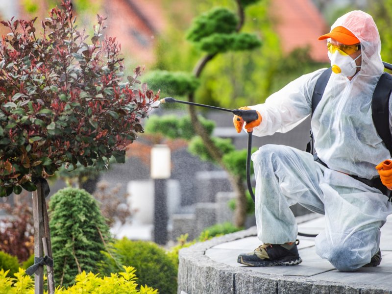 Yunusemre Haşere İlaçlama